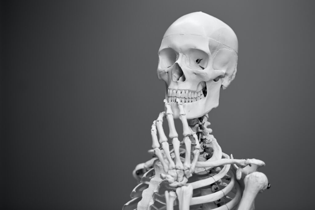 greyscale photography of skeleton to show the bones that benefit from exercise